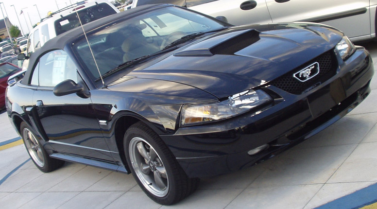 Timeline 2003 Mustang