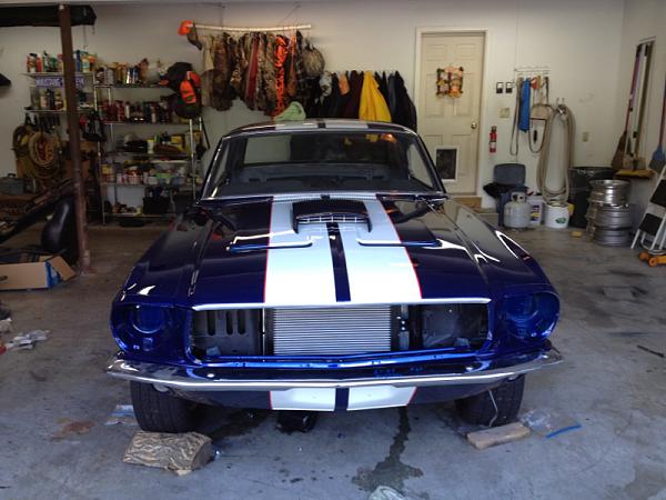 1967 Mustang Project Update: Painted-image-2700102018.jpg