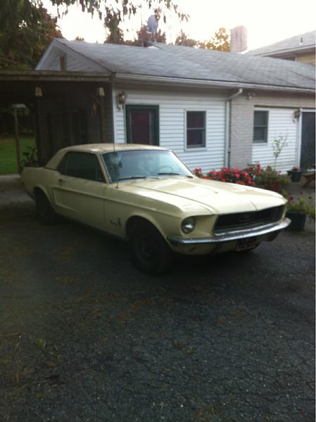 She fired today-image-33576410.jpg