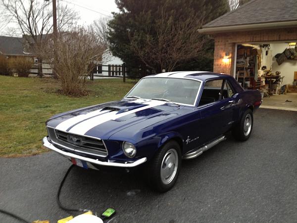 Gave the Old Girl a Bath Today-image-1199506594.jpg