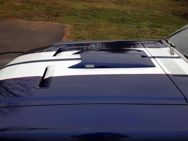 Gave the Old Girl a Bath Today-image-3255756064.jpg