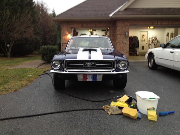 Gave the Old Girl a Bath Today-image-162921976.jpg