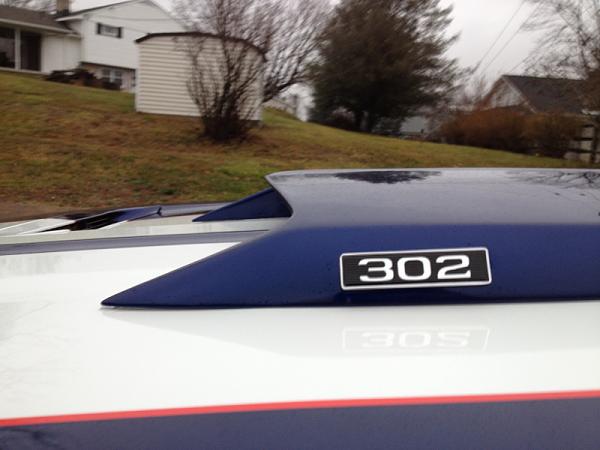 Gave the Old Girl a Bath Today-image-232340717.jpg