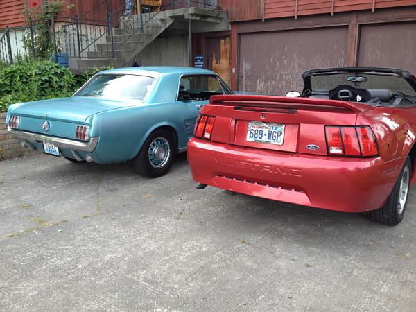 What did you do to your mustang today?-image-765135797.jpg