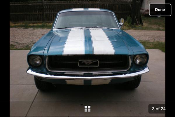 MY 67 Fastback-image-2597807443.jpg