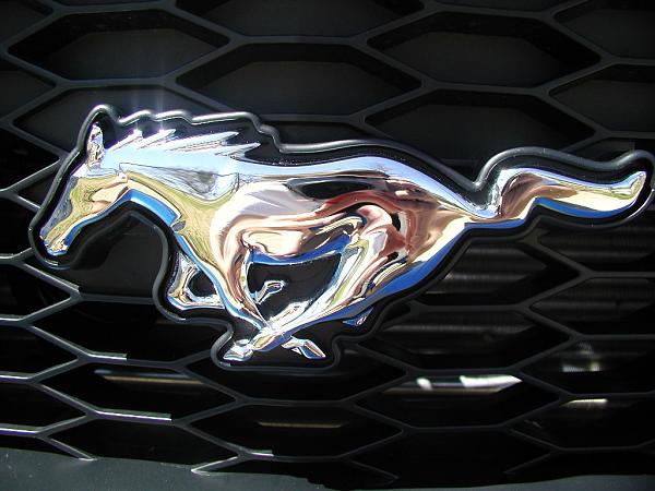 running pony-pony-emblem-1a.jpg