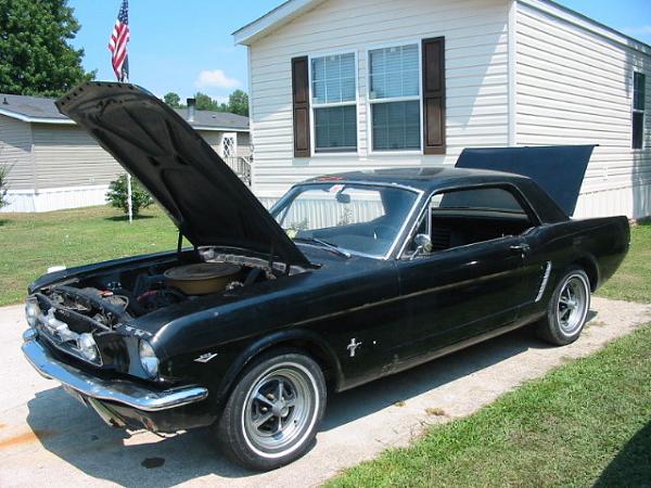 1965 Mustang Coupe Window Sticker-65-mustang-coupe-pic-1.jpg