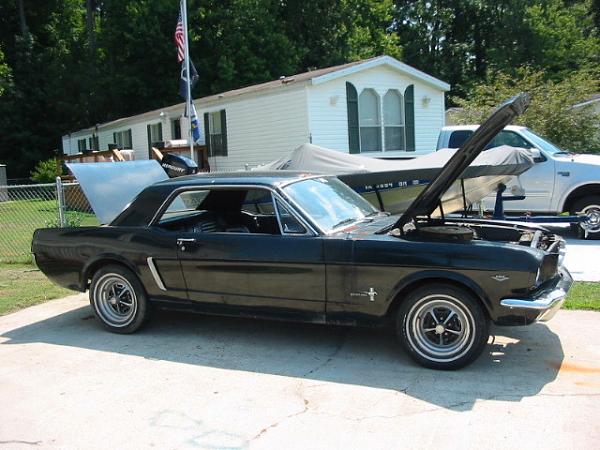 1965 Mustang Coupe Window Sticker-65-mustang-coupe-pic-2.jpg