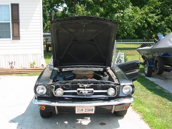 1965 Mustang Coupe Window Sticker-65-mustang-coupe-pic-3.jpg