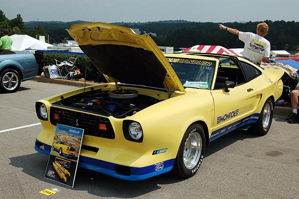Hey Arin.-dsc_4202.jpg