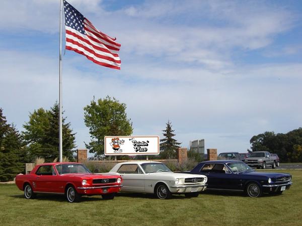 Mustang Trio....-3mustangs4.jpg