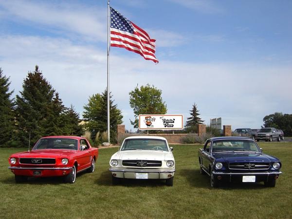 Mustang Trio....-3mustangs5.jpg