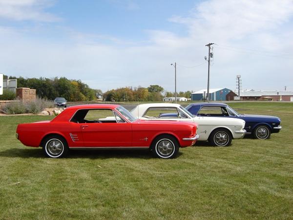 Mustang Trio....-3mustangs6.jpg