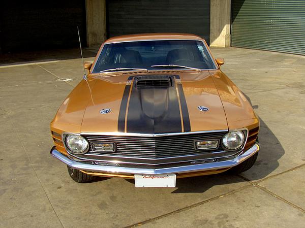 My New 1970 Mach 1 - Pitcha Perfect-8.jpg