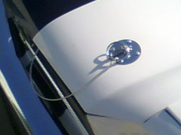 Beautiful Day!- New hood pins!-hood-pins.jpg