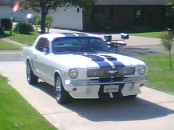 Beautiful Day!- New hood pins!-driveway.jpg