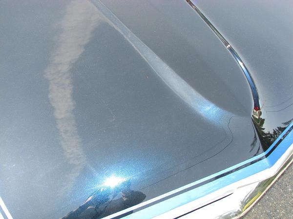 Mach 1 hood stripe and deck spoiler-271.jpg