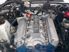 Name:  ForumRunner_20120206_102359.jpg
Views: 110
Size:  24.1 KB