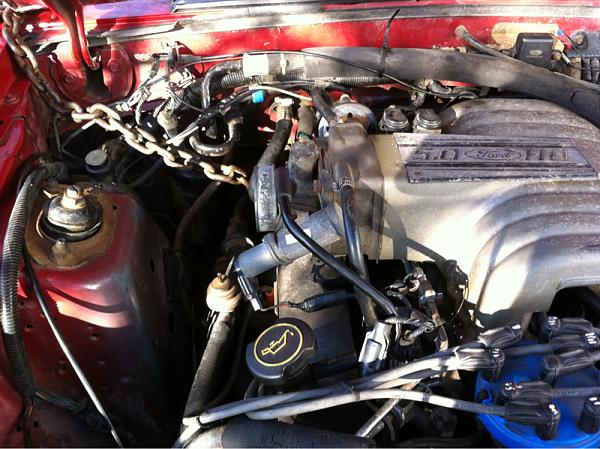 Bbk garbage-image-1123058259.jpg