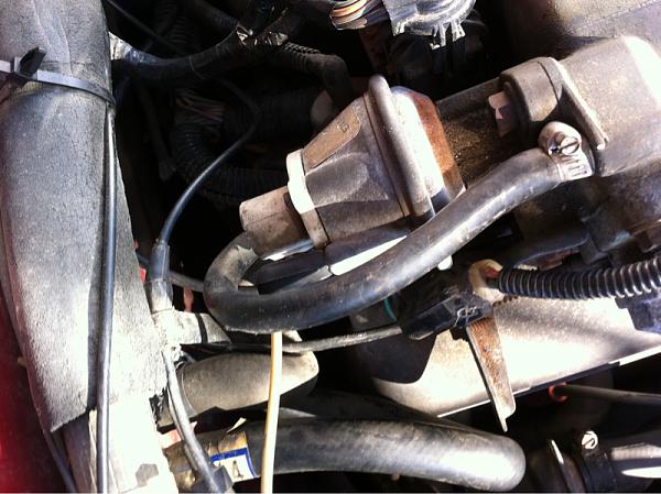 Bbk garbage-image-1185062848.jpg