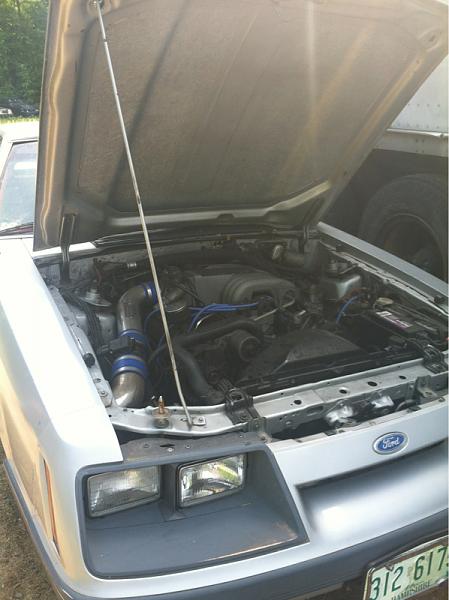 86 GT-image-1050233395.jpg