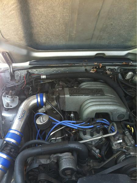 86 GT-image-977619301.jpg