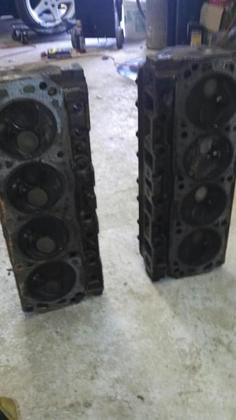 85 Fox Hatch LX 5.0 project-heads.jpg