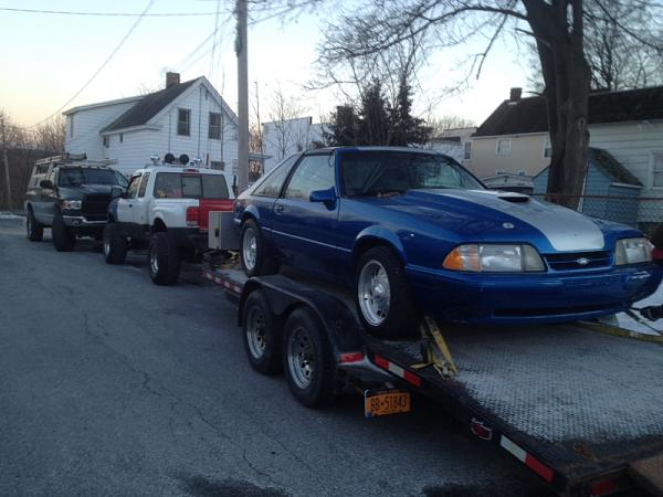 New owner-image-3615300156.jpg