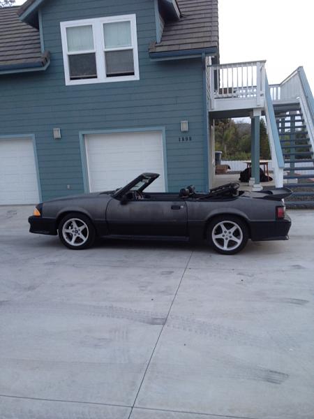 LARRY the #projectcar-image-148152304.jpg