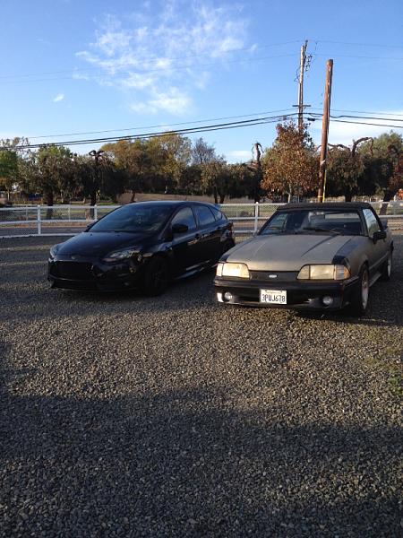 LARRY the #projectcar-image-4047625666.jpg