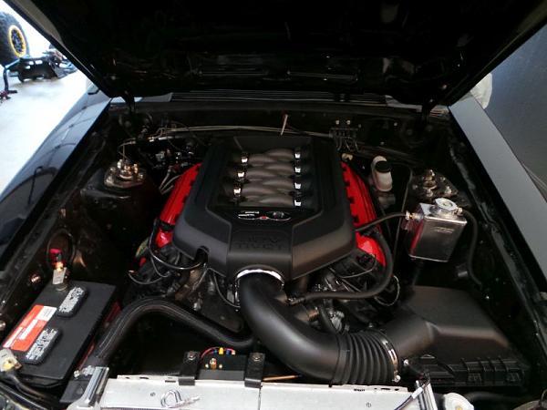 my coyote fox swap is done-20140609_204343.jpg