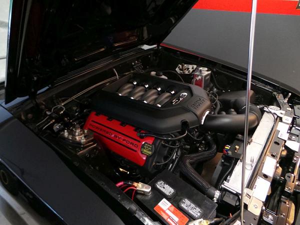 my coyote fox swap is done-20140609_204441.jpg