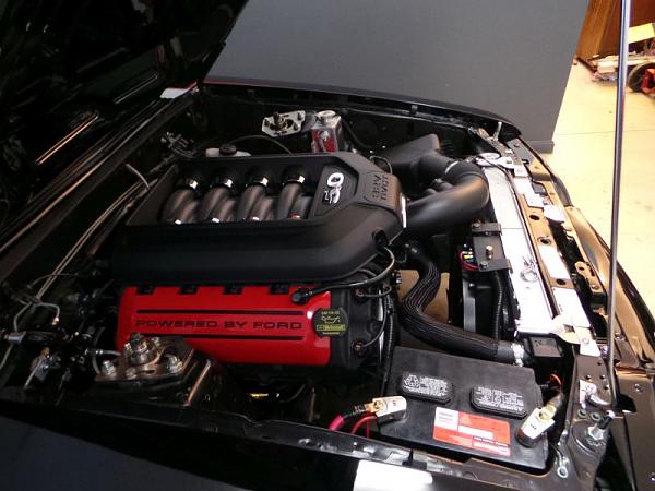 my coyote fox swap is done-20140609_204449.jpg