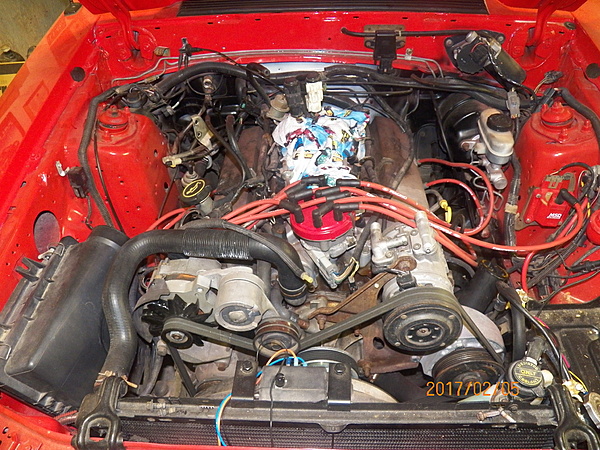 '88 GT Engine Maintenance/Underhood Detailing-100_3621.jpg