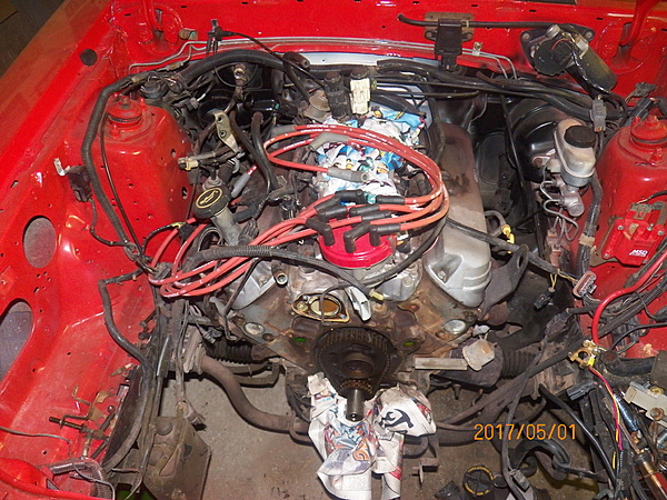 '88 GT Engine Maintenance/Underhood Detailing-100_4470.jpg