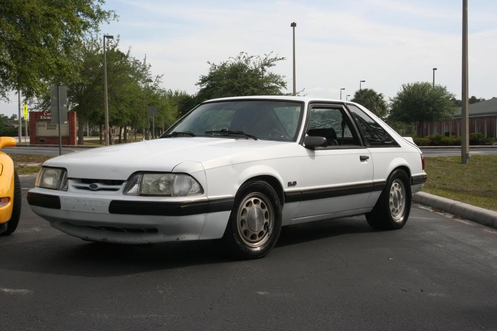 Name:  IMG_3046_zps7bec302a.jpg
Views: 65
Size:  80.7 KB