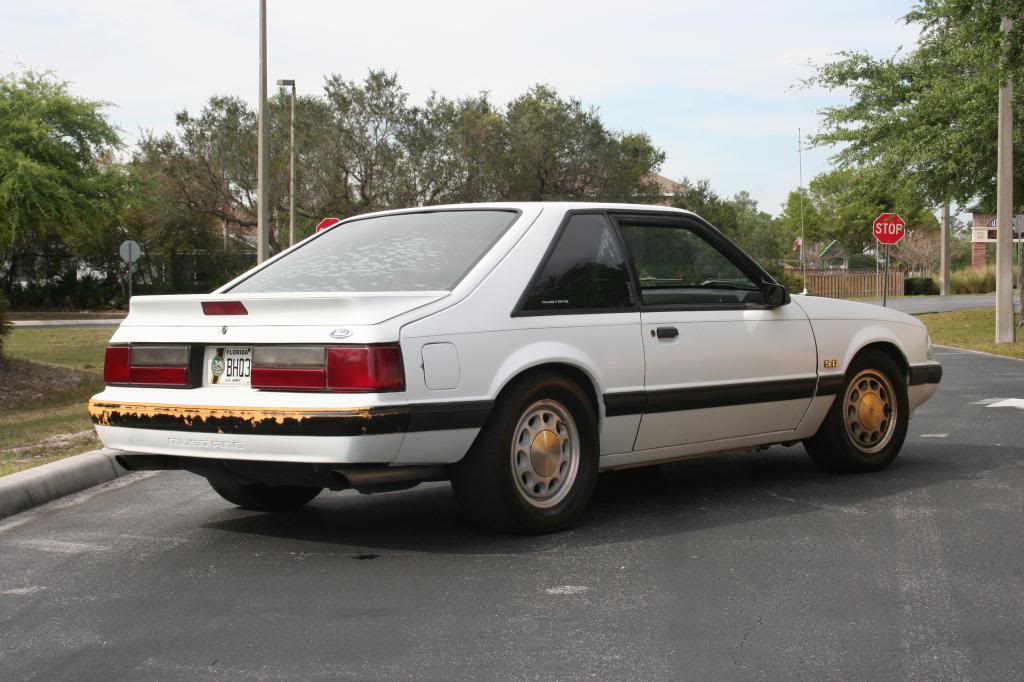 Name:  IMG_3044_zps40aada23.jpg
Views: 97
Size:  97.9 KB