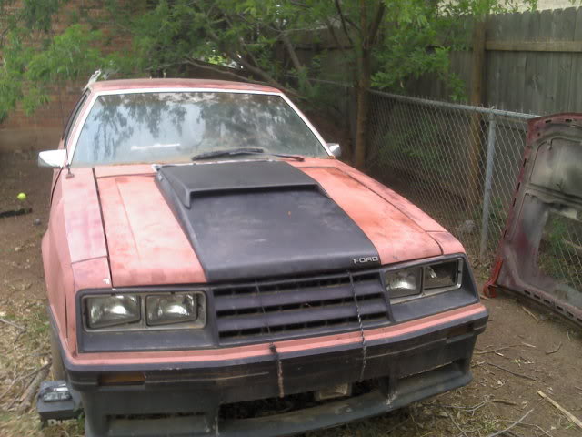 Name:  518775087_photobucket_18576_.jpg
Views: 30
Size:  55.0 KB