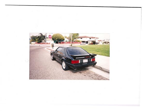 starting a new Fox Project-1979stang2.jpg