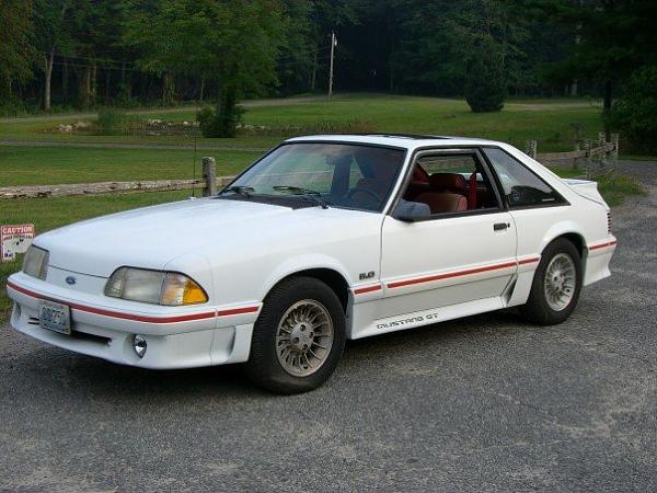 Best deal on wheels and tires I will ever get..-n52804627_30659415_9735.jpg
