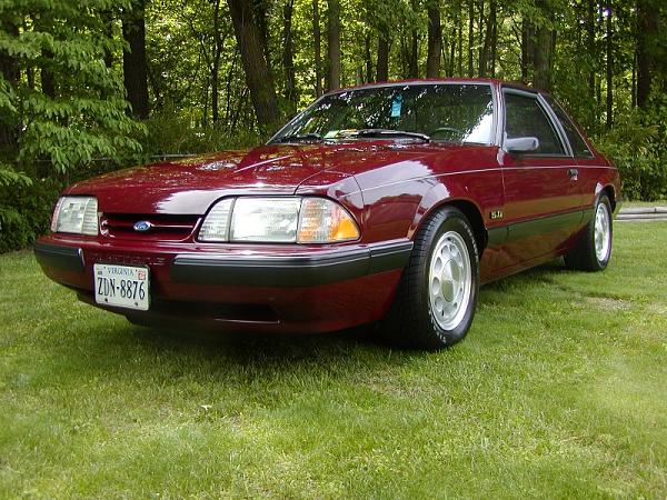 Need Fox pictures!-p5260005s.jpg