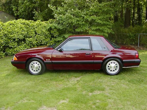 Need Fox pictures!-p5260002s.jpg