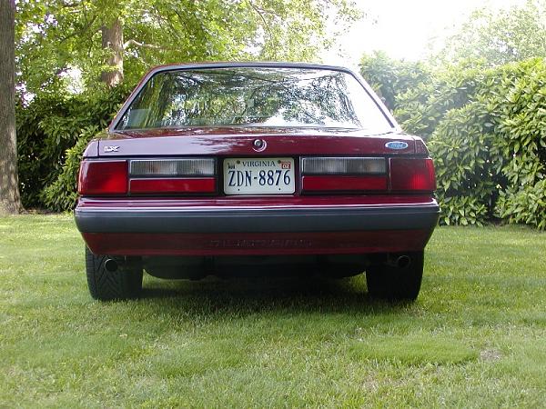 Need Fox pictures!-p5260009s.jpg