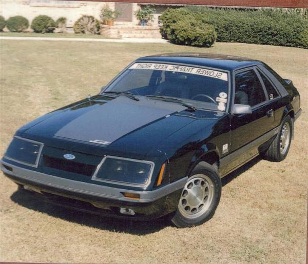 My 1985 Ford Motorsport Mustang GT....-jenifer-medium-.jpg