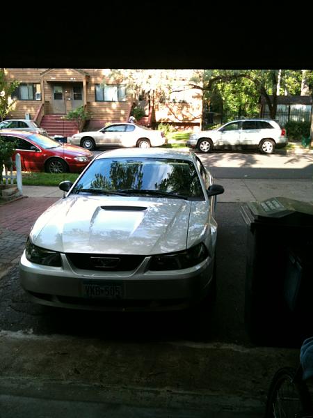 1994-2004 MUSTANG SN-95 Member Pics, Show off your Sixxer-image-1340311716.jpg