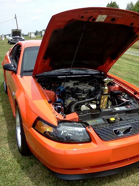 1994-2004 MUSTANG SN-95 Member Pics, Show off your Sixxer-img_20120609_145320.jpg