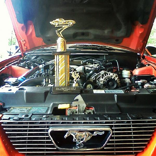 1994-2004 MUSTANG SN-95 Member Pics, Show off your Sixxer-img_20120609_164155.jpg