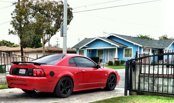 1994-2004 MUSTANG SN-95 Member Pics, Show off your Sixxer-image-3982553257.jpg