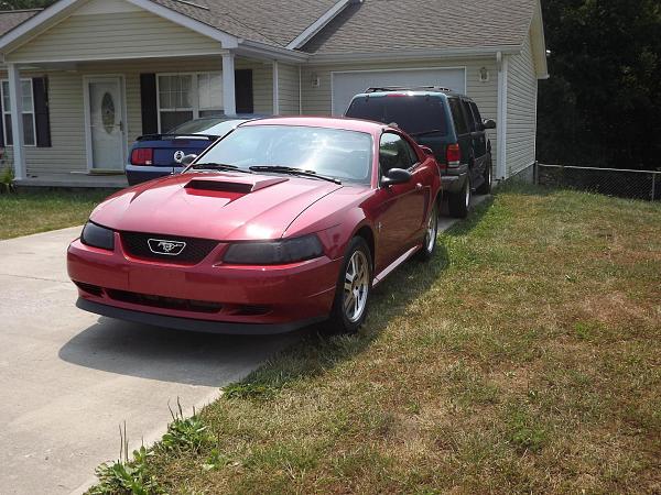 1994-2004 MUSTANG SN-95 Member Pics, Show off your Sixxer-dscf0590.jpg