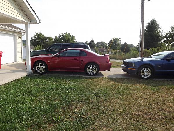 1994-2004 MUSTANG SN-95 Member Pics, Show off your Sixxer-dscf0593.jpg